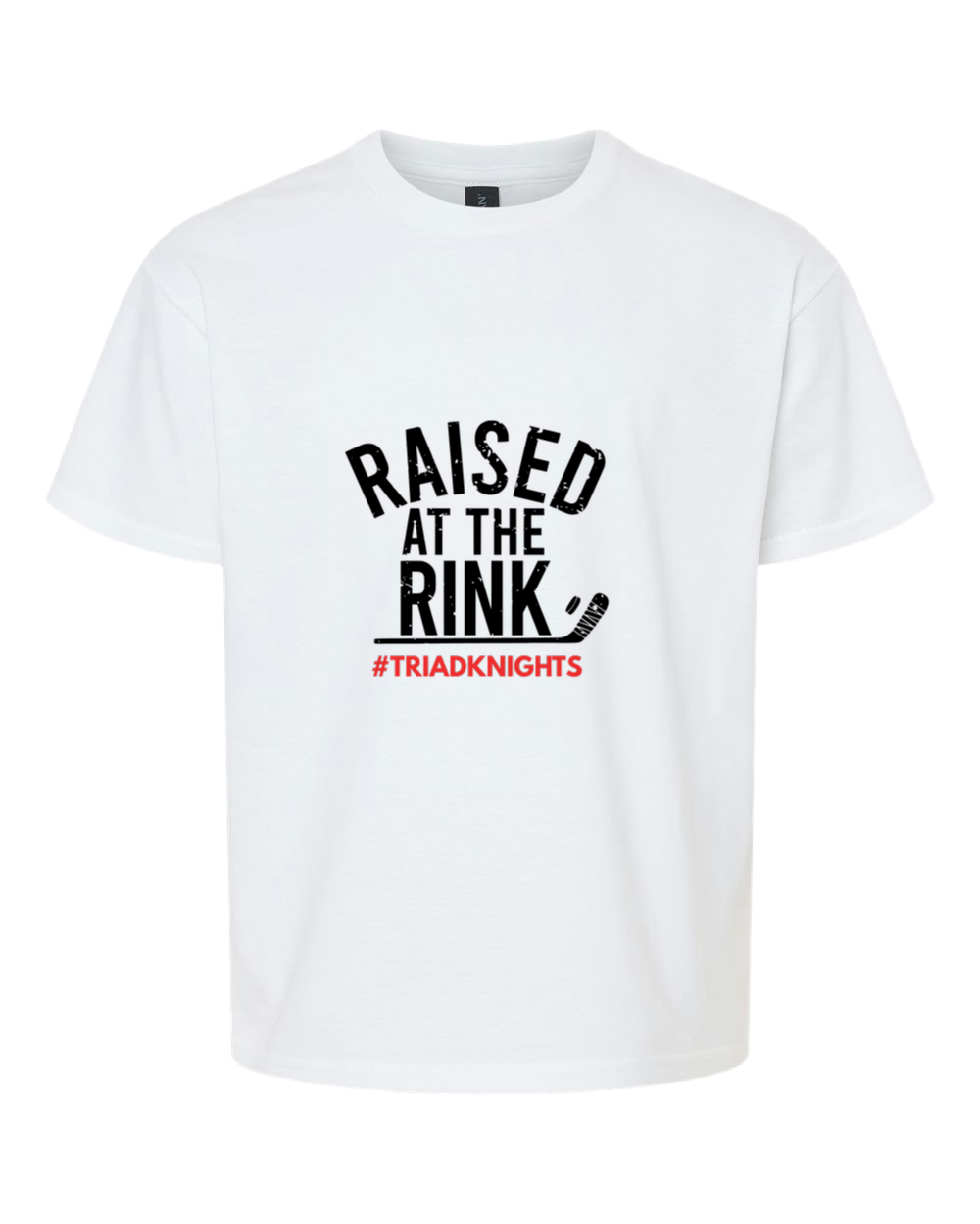 HOCKEY OPTION 1 RAISED AT THE RINK